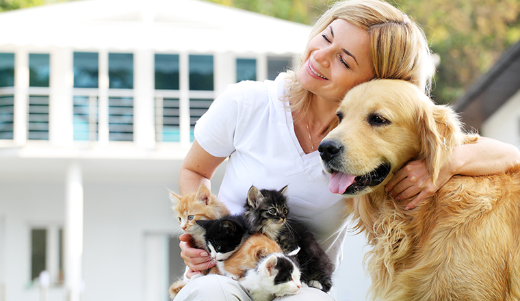 Beautiful girl enjoying outdoor with group of a little cats and dog.