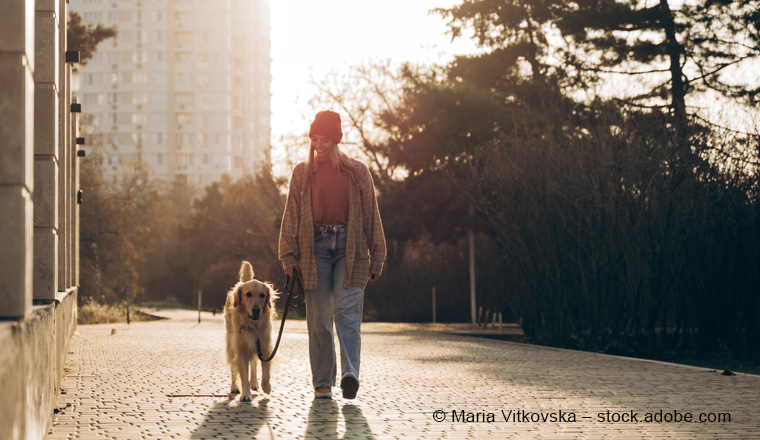 Adam Riese: Neue Maklertarife in der Hundehalterhaftpflicht