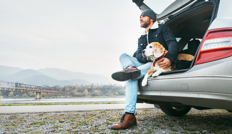Breaded man in warm clothes siting with beagle in car trunk. Traveling with pet concept image