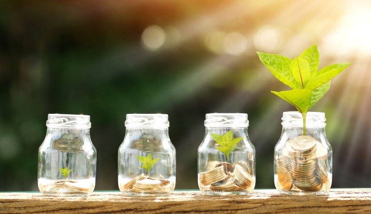 Coin in the bottle and plant growing with savings money put on the wood in the morning sunlight, Business investment and saving growth concept.