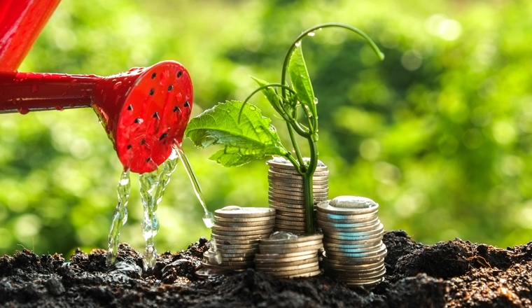 Money growth concept plant growing out of coins