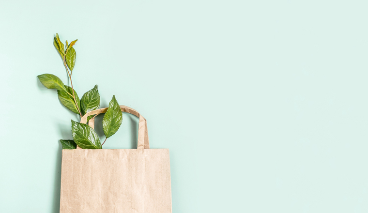 Recycled brown paper shopping bag with handle and green branches leaves isolated on green background. Zero waste concept. Top view, flat lay, copy space. Banner.