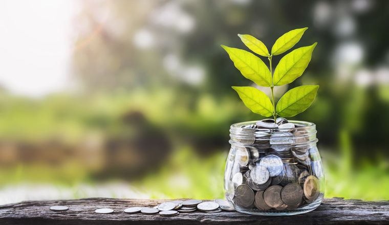 concept money growing and small tree in jar