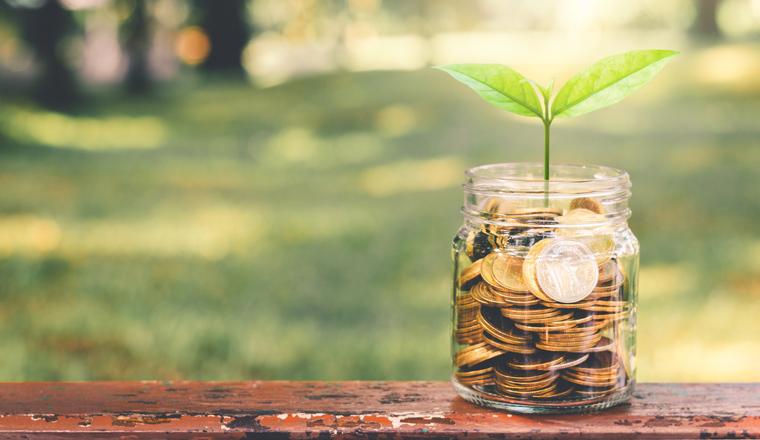 green plant growing on golden coin in glass jar on wood table in park with blur nature background. business financial banking saving concept. investment profit income. marketing startup success.