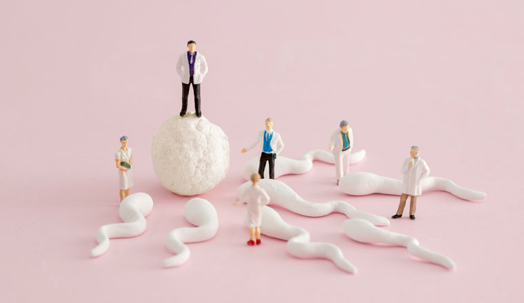 Miniature doctor and nurse "team specialists" in Zygote IntraFollopain Transfer process or InVitro Fertilization and Embryo Transfer process