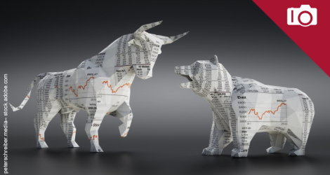 Bull and bear as representation of stock exchange