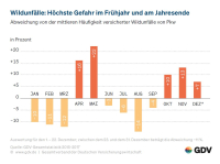 GDV: Wildunfälle kosten Versicherer jeden Tag 2,6 Mio. Euro