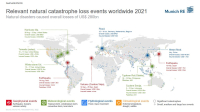 Munich Re: 2021 mit vielen Naturkatastrophen und hohen Schäden