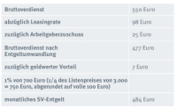 Mit dem E-Bike lässt sich auch der SV-Beitrag steuern