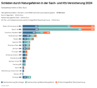 GDV: Weniger Sturm-, mehr Hochwasserschäden 